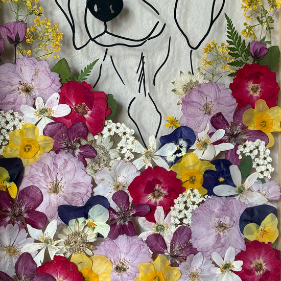 Hund im Frühlingsmantel