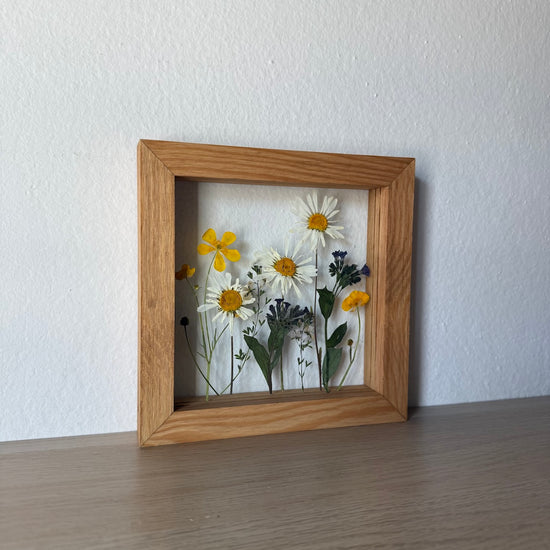Weiße Schneeglöckchendame