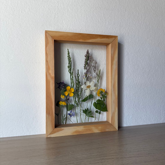 Wiese im Wind