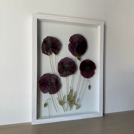 Das Geheimnis der blauen Hortensie