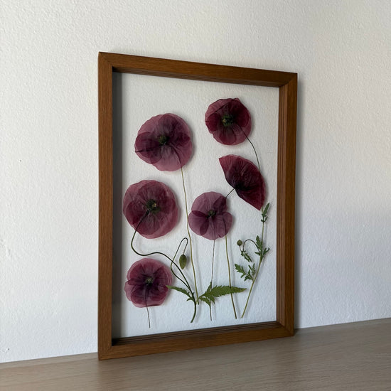 Das Geheimnis der blauen Hortensie