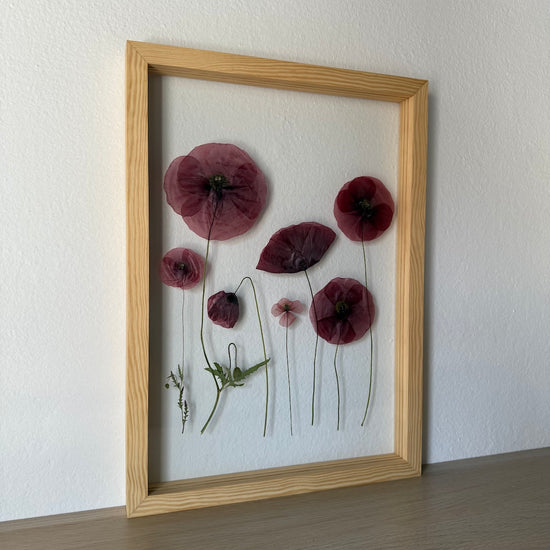 Das Geheimnis der blauen Hortensie