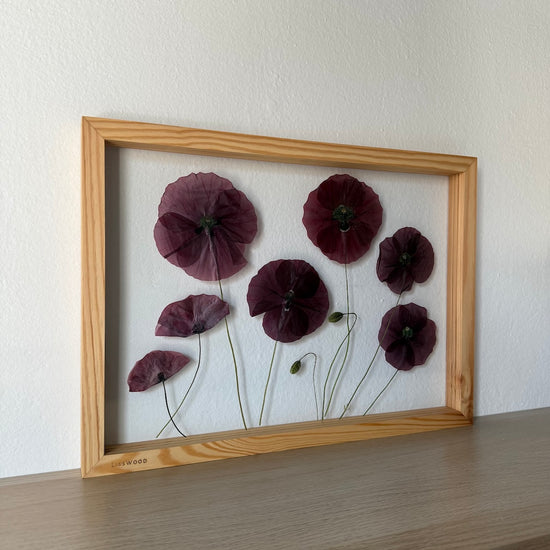 Das Geheimnis der blauen Hortensie