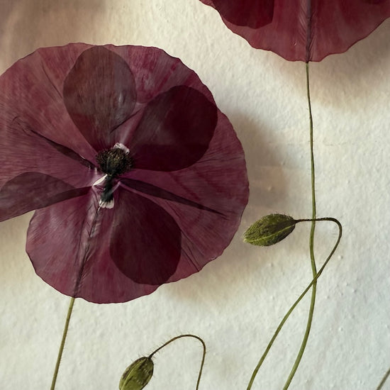 Das Geheimnis der blauen Hortensie