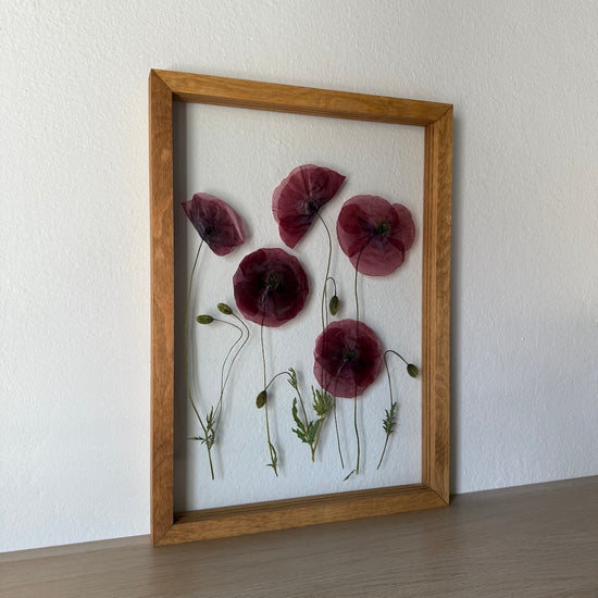 Das Geheimnis der blauen Hortensie