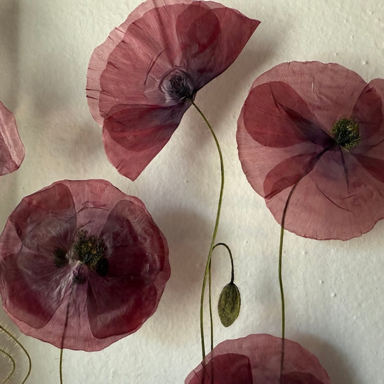 Das Geheimnis der blauen Hortensie