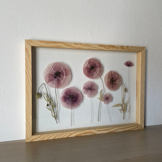 Das Geheimnis der blauen Hortensie