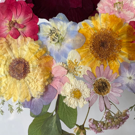 Farben der Seele
