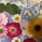 Farben der Seele