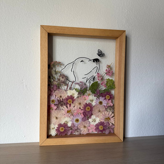 Hund im Frühlingsmantel