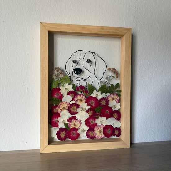 Hund im Frühlingsmantel