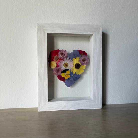 Blühen unter dem Schnee