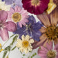 Farben der Seele
