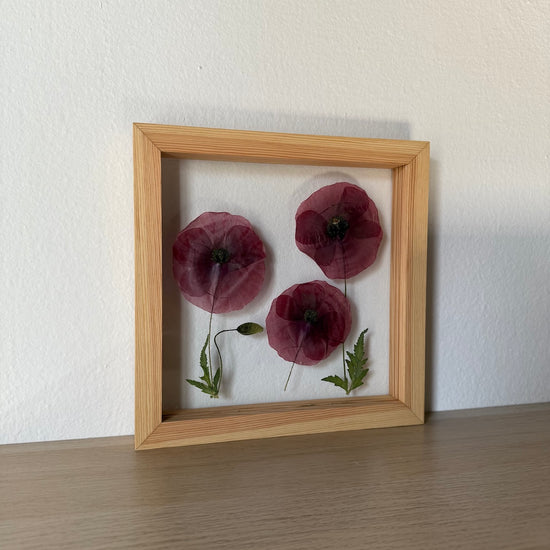 Wiesenblume