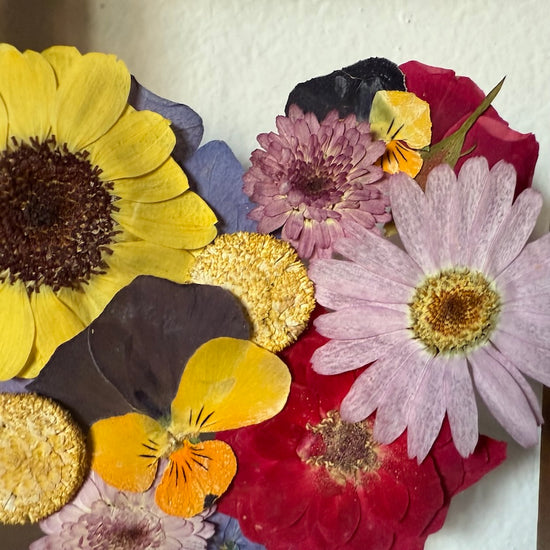 Blühen unter dem Schnee