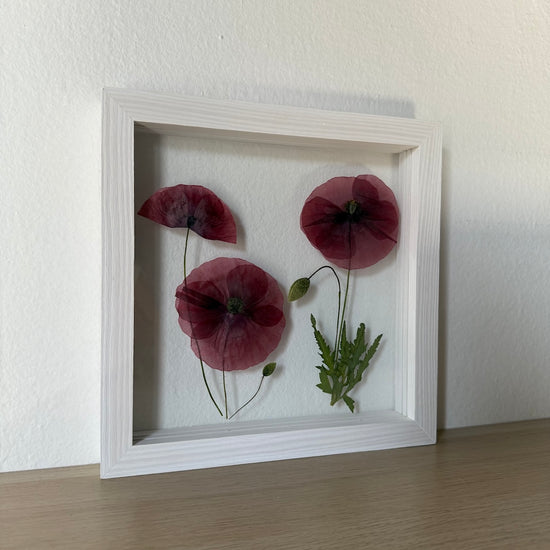 Wiesenblume