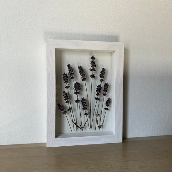 Wiese im Wind