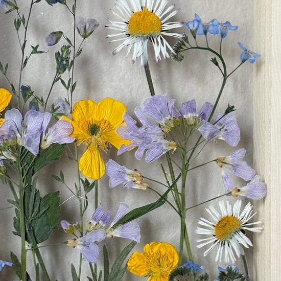 Drama geheimnisvoller Blumen
