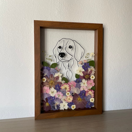 Hund im Frühlingsmantel