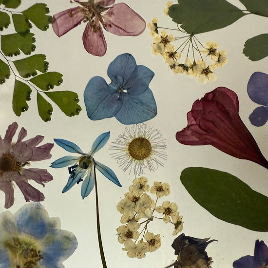 Tanzen auf der Wasseroberfläche