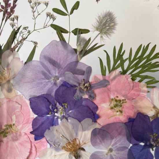 Drama geheimnisvoller Blumen