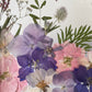 Drama geheimnisvoller Blumen