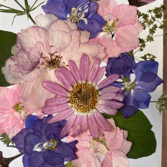 Drama geheimnisvoller Blumen