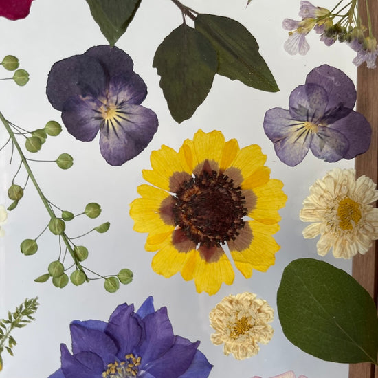 Blumige Vergänglichkeit