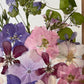 Drama geheimnisvoller Blumen