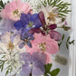 Drama geheimnisvoller Blumen