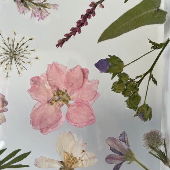 Drama geheimnisvoller Blumen