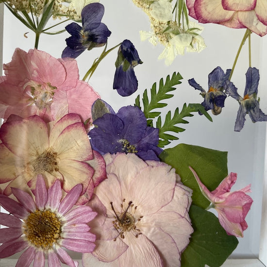 Drama geheimnisvoller Blumen