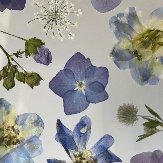 Drama geheimnisvoller Blumen