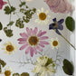 Drama geheimnisvoller Blumen