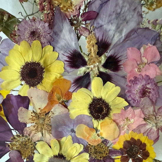 Wiesengöttin der Schönheit