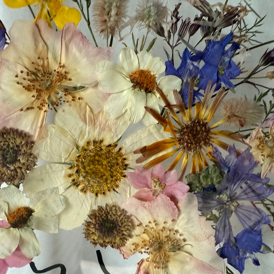 Wiesengöttin der Schönheit