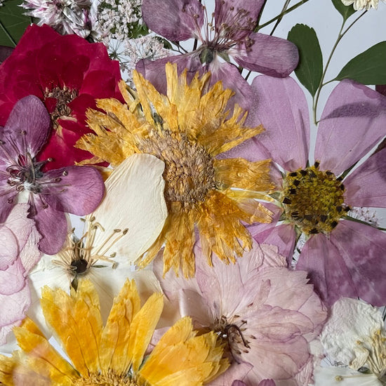 Farben der Seele