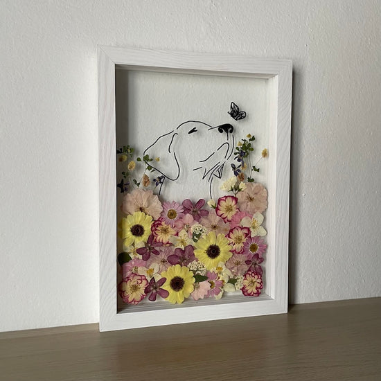 Hund im Frühlingsmantel