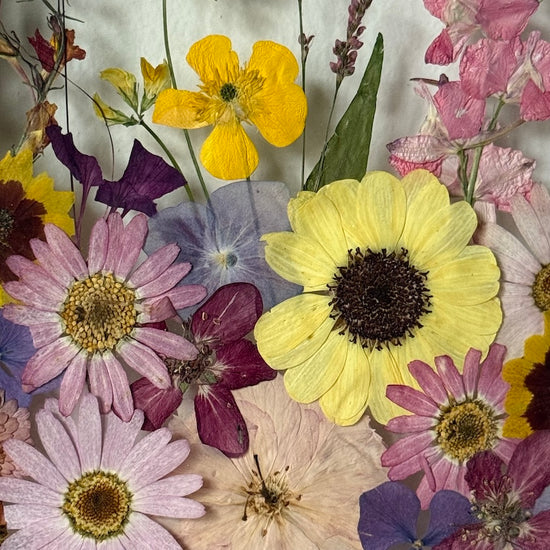 Tanzen auf der Wasseroberfläche