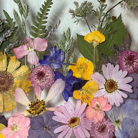 Tanzen auf der Wasseroberfläche