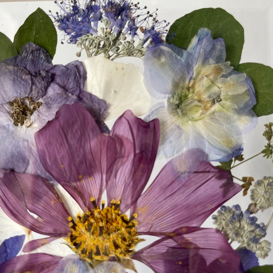 Drama geheimnisvoller Blumen