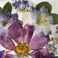 Drama geheimnisvoller Blumen