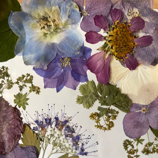 Drama geheimnisvoller Blumen