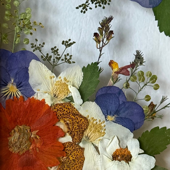 Blumige Vergänglichkeit