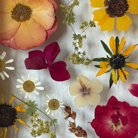 Blumige Vergänglichkeit