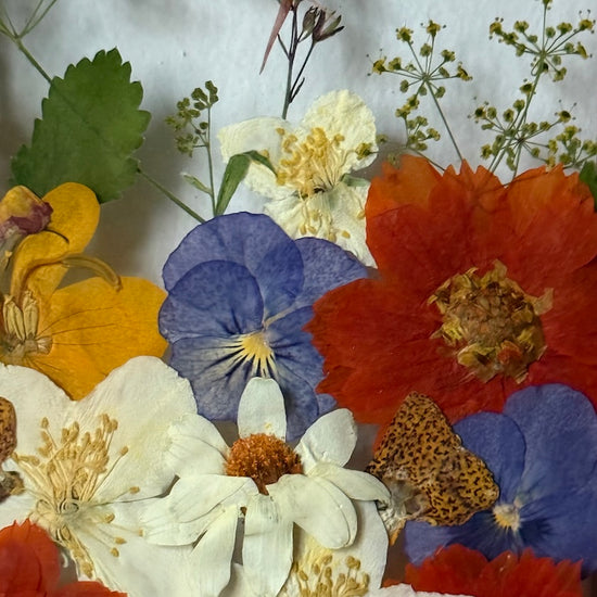 Blumige Vergänglichkeit