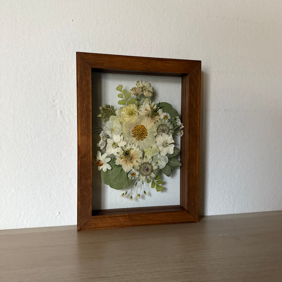 Aus den Tiefen der Meeresschönheiten