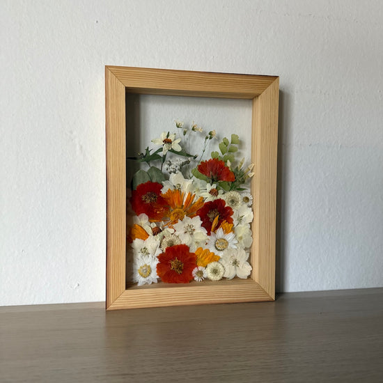 Aus den Tiefen der Meeresschönheiten