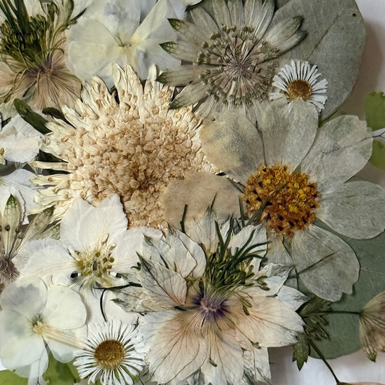 Tanzen auf der Wasseroberfläche