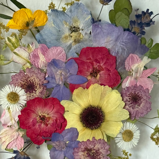 Tanzen auf der Wasseroberfläche